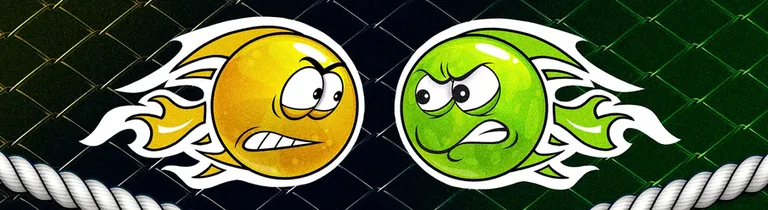 الدوري MMA الدولي